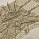 Pure Cotton Handwoven Banarasi  Saree