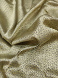Grey Colour Pure Tissue Silk Handwoven Banarasi Saree