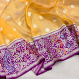Pure kora handwoven banarasi saree