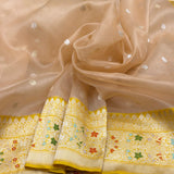 Pure Kora handwoven Banarasi saree