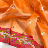 Pure tissue Handwoven banarasi saree